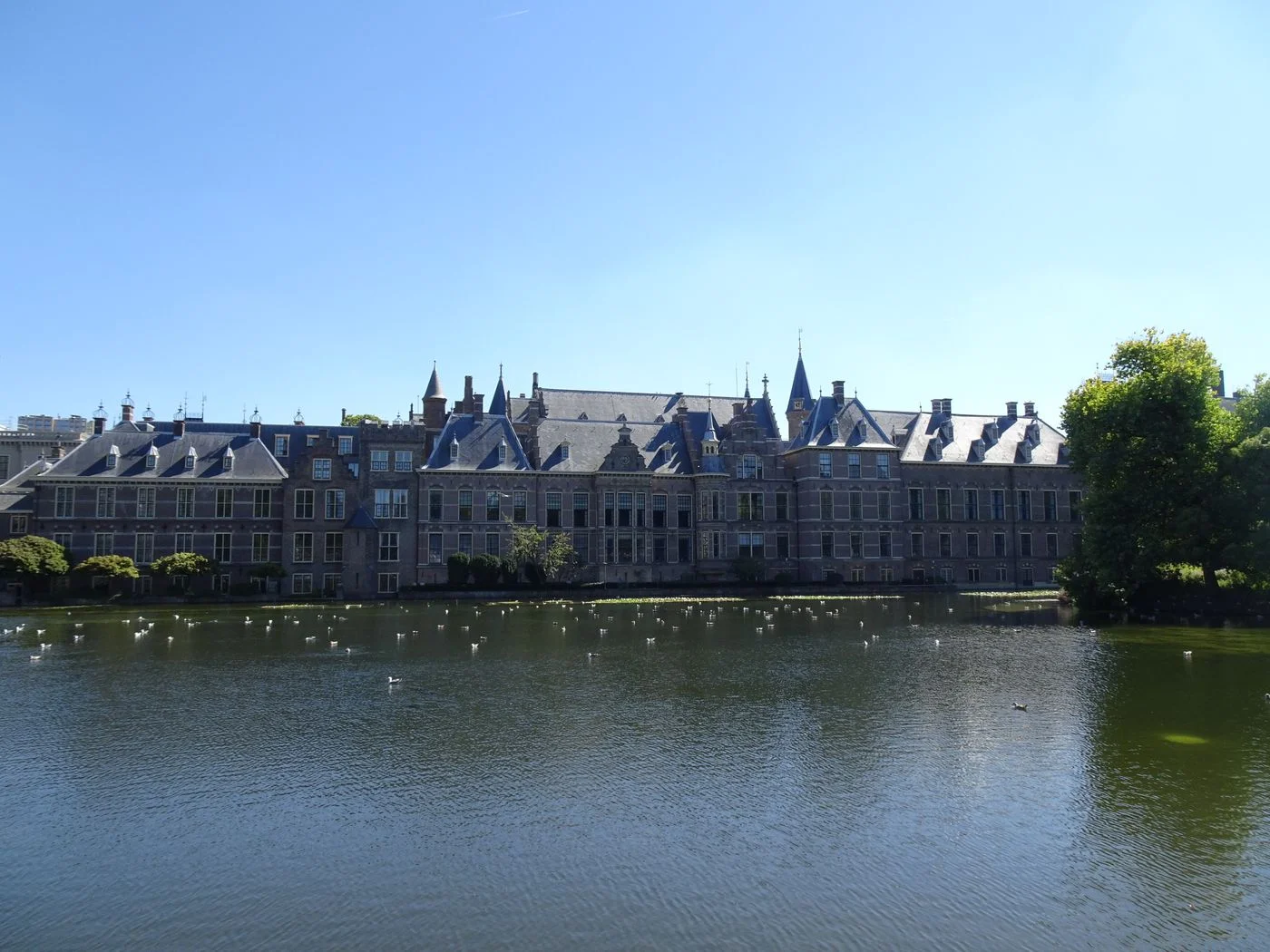 The Binnenhof and Hofvijver seen from across the water in The Hague.
