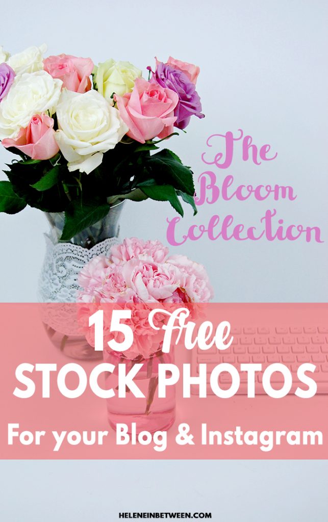 15 Free Stock Photos: The Bloom Collection 15 Free Stock Photos: The Bloom Collection