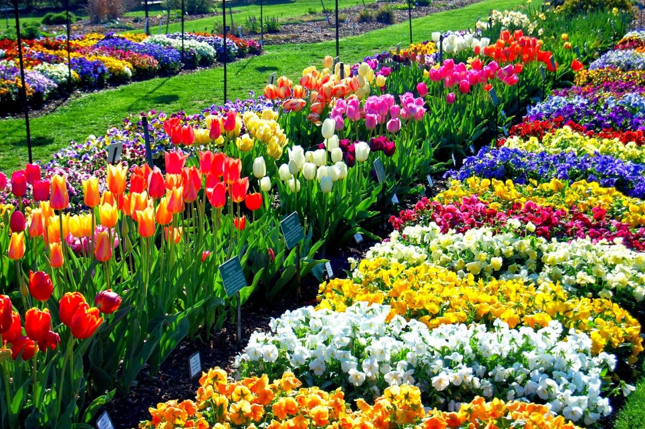 dallas_arboretum_bloom