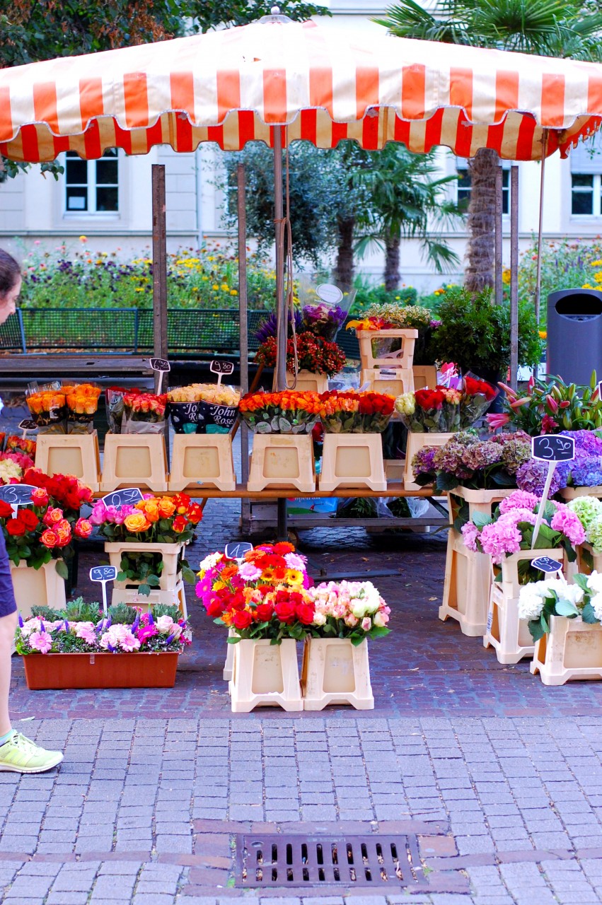 flowershop_heidelberg_germany