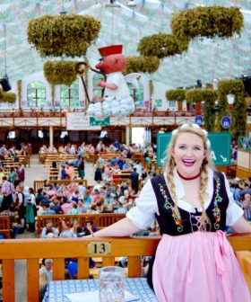 Oktoberfest Dirndl