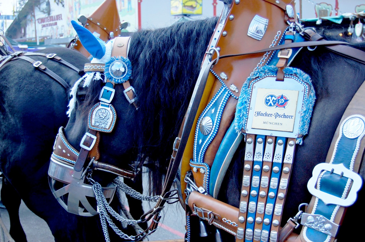 horses_oktoberfest