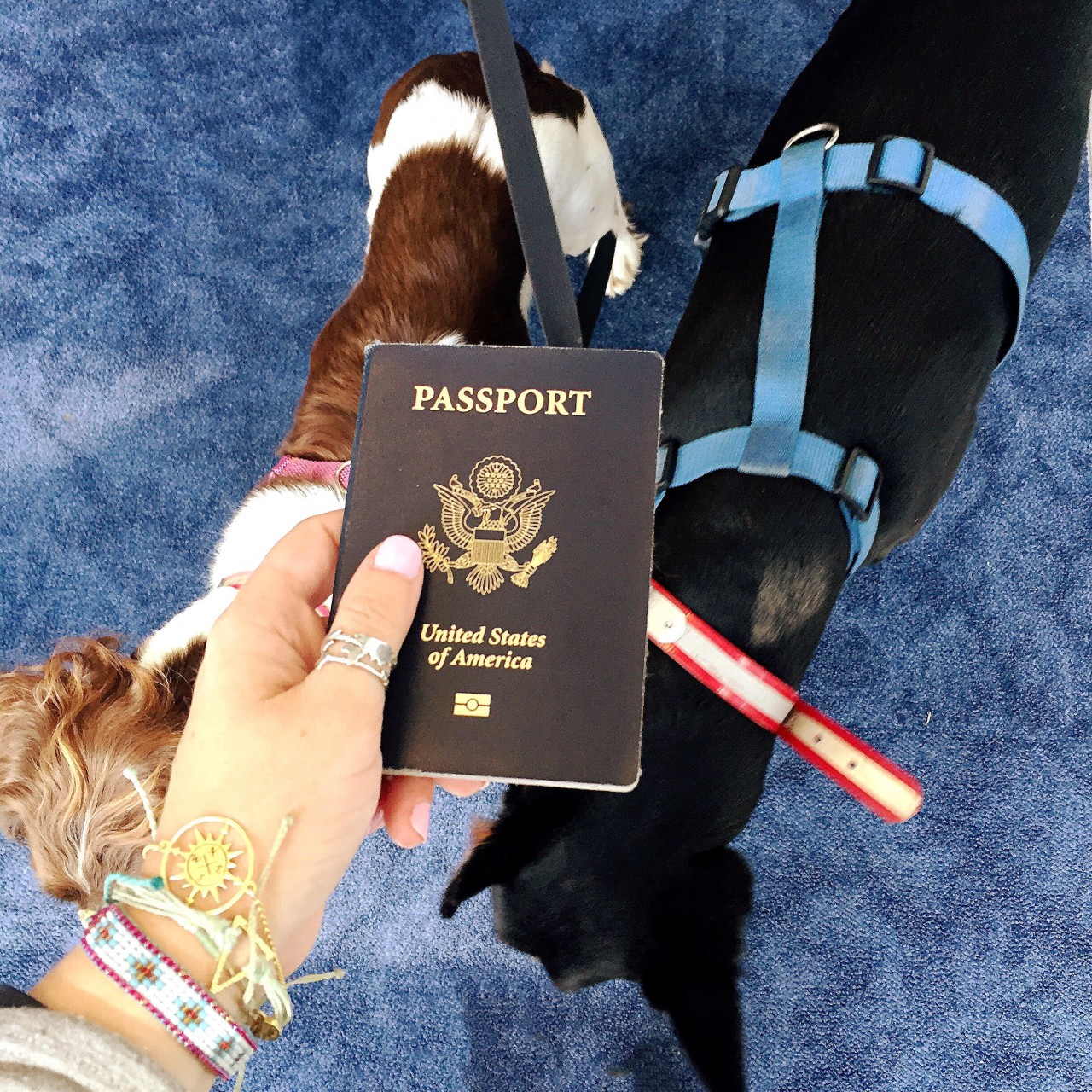 passportinhandgermany