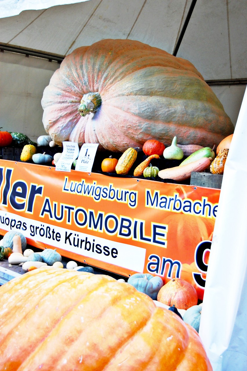 biggest_pumpkin_in_the_world_ludwigsburg
