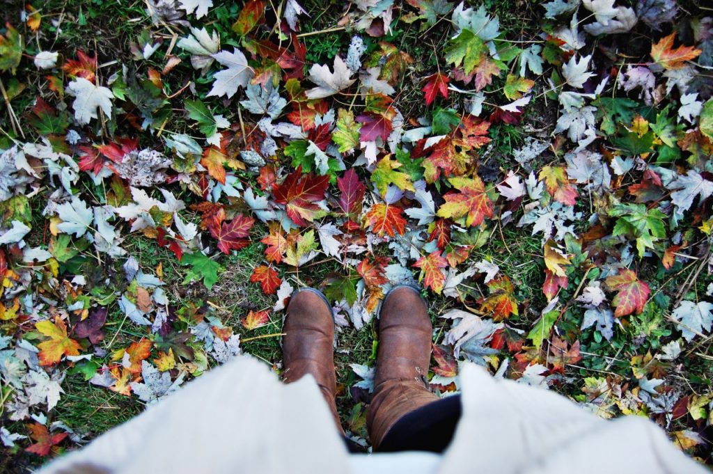 fall_leaves