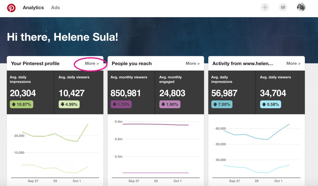 pinanalytics