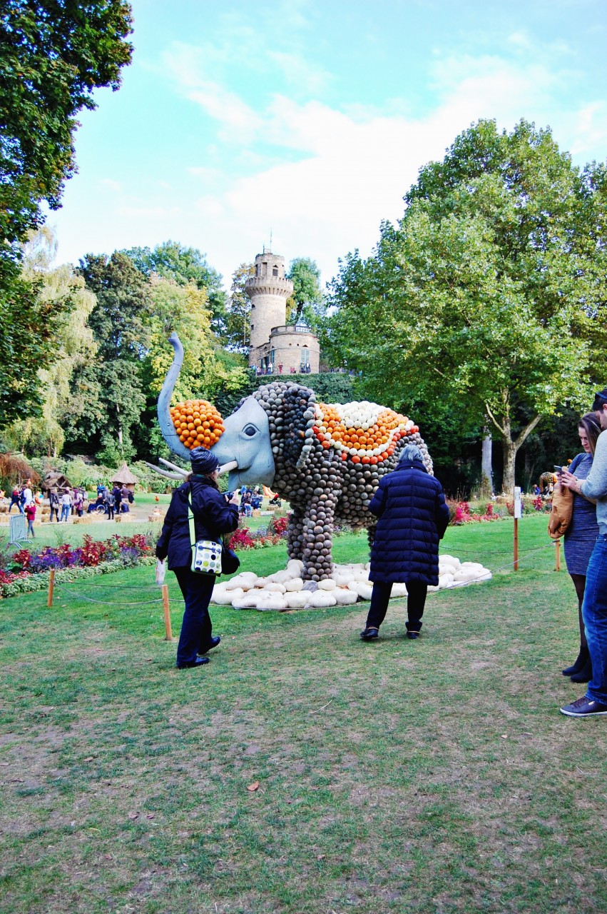 pumpkin_elephant