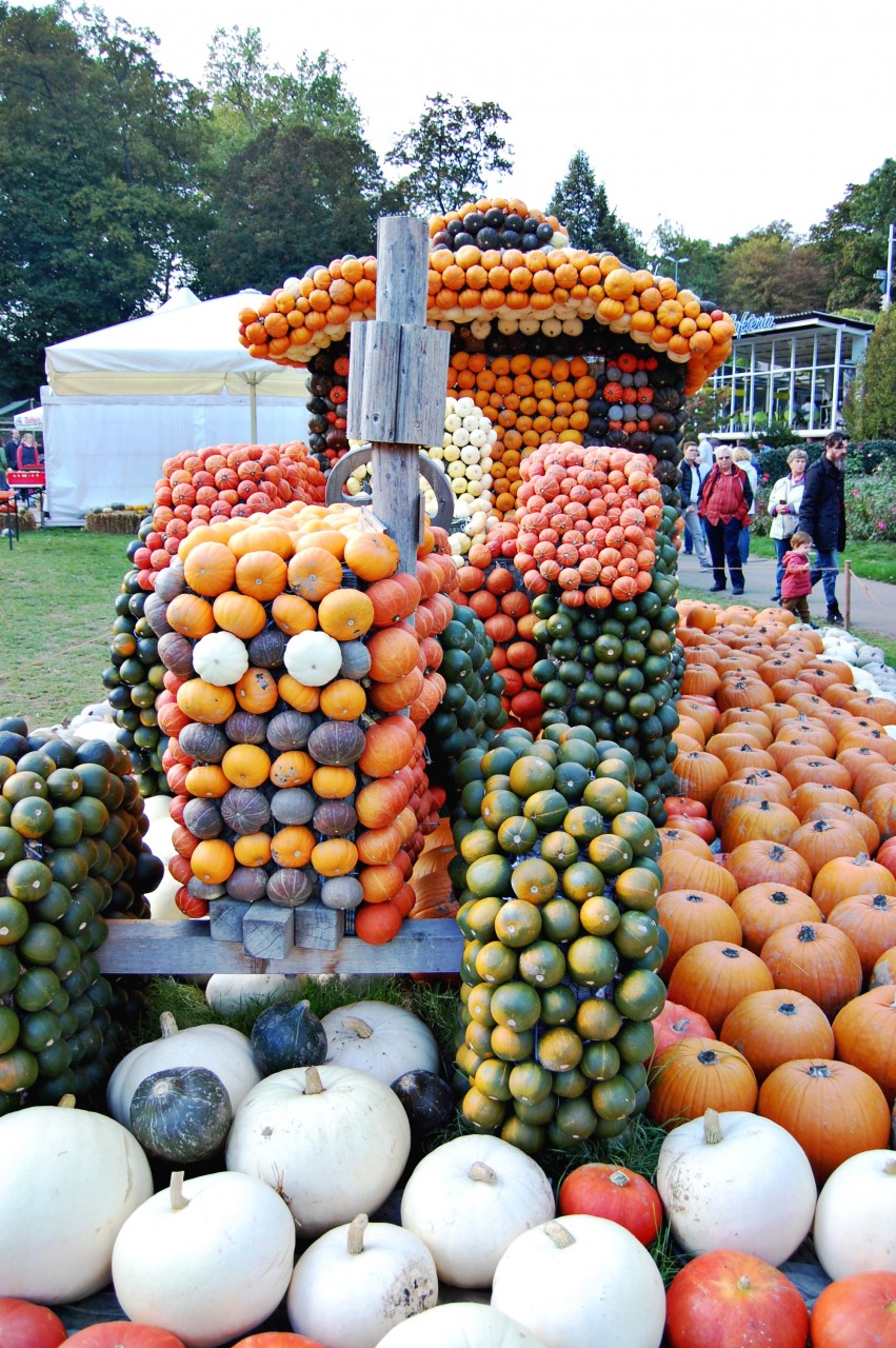 pumpkintractor