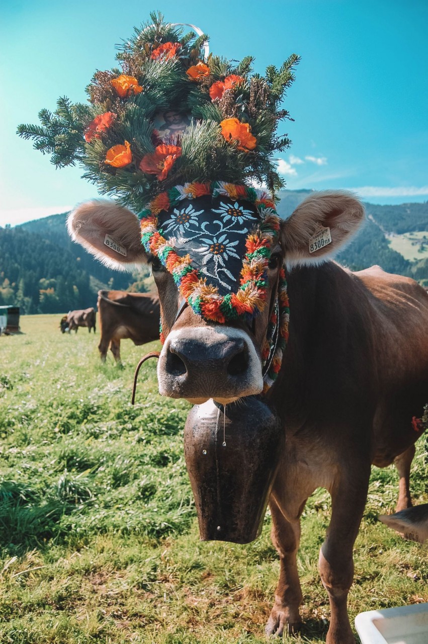 Zillertal, Austria - Best Places to Visit Europe in the Fall 